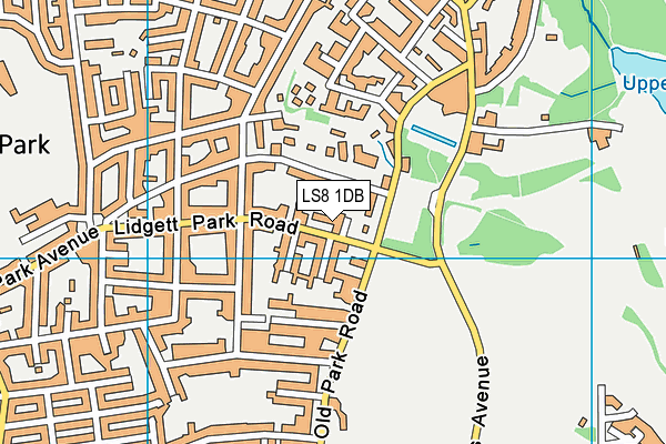 LS8 1DB map - OS VectorMap District (Ordnance Survey)