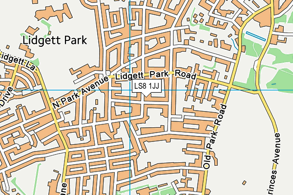 LS8 1JJ map - OS VectorMap District (Ordnance Survey)