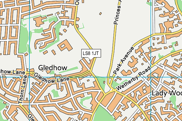 LS8 1JT map - OS VectorMap District (Ordnance Survey)