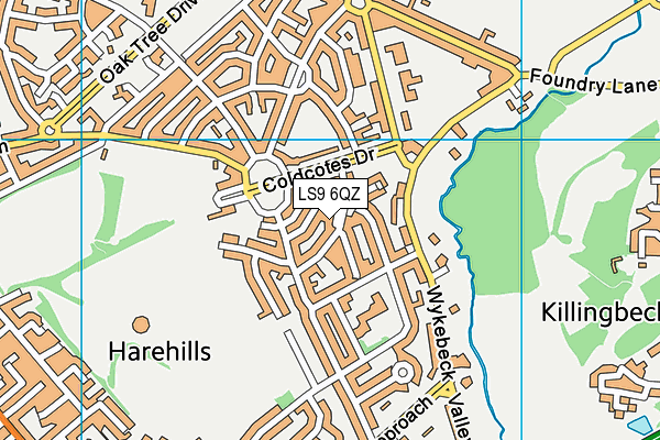 LS9 6QZ map - OS VectorMap District (Ordnance Survey)
