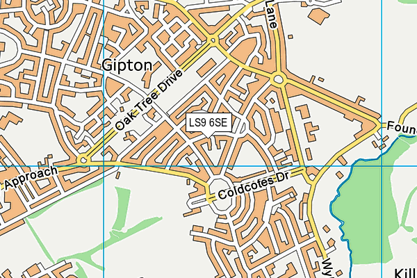 LS9 6SE map - OS VectorMap District (Ordnance Survey)