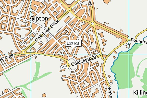 LS9 6SF map - OS VectorMap District (Ordnance Survey)