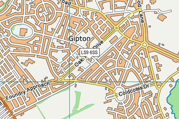 LS9 6SS map - OS VectorMap District (Ordnance Survey)