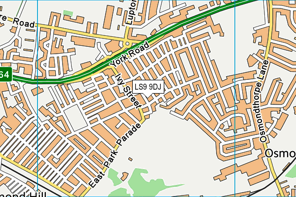 LS9 9DJ map - OS VectorMap District (Ordnance Survey)