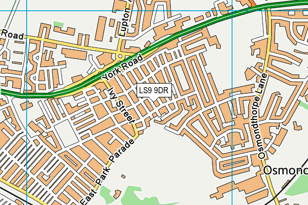 LS9 9DR map - OS VectorMap District (Ordnance Survey)