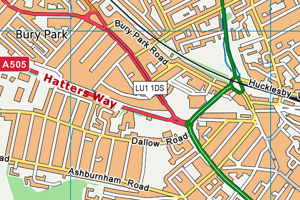 LU1 1DS map - OS VectorMap District (Ordnance Survey)