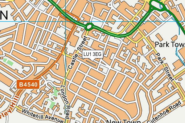 LU1 3EG map - OS VectorMap District (Ordnance Survey)