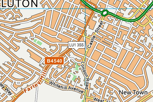 LU1 3SS map - OS VectorMap District (Ordnance Survey)