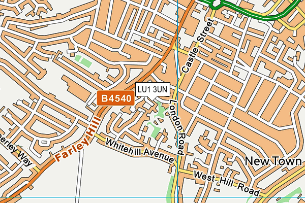 LU1 3UN map - OS VectorMap District (Ordnance Survey)