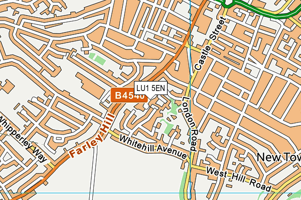 LU1 5EN map - OS VectorMap District (Ordnance Survey)