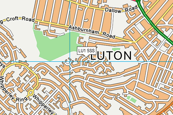 LU1 5SS map - OS VectorMap District (Ordnance Survey)