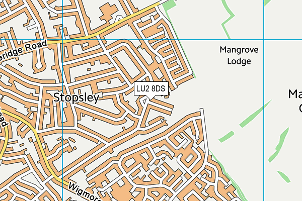 LU2 8DS map - OS VectorMap District (Ordnance Survey)