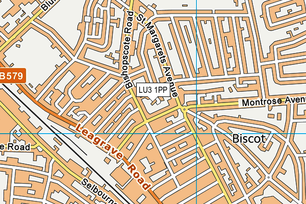 LU3 1PP map - OS VectorMap District (Ordnance Survey)