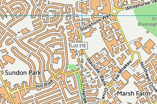 LU3 3TE map - OS VectorMap District (Ordnance Survey)