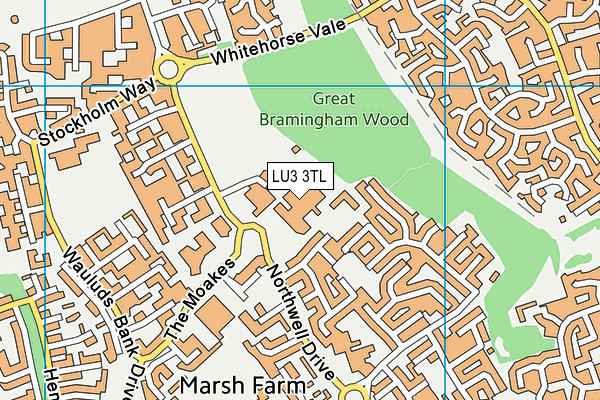 Lea Manor High School Performing Arts College map (LU3 3TL) - OS VectorMap District (Ordnance Survey)