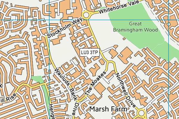LU3 3TP map - OS VectorMap District (Ordnance Survey)