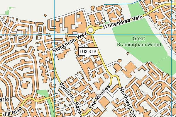 LU3 3TS map - OS VectorMap District (Ordnance Survey)