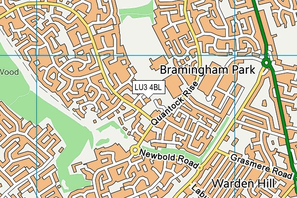 Bramingham Primary School map (LU3 4BL) - OS VectorMap District (Ordnance Survey)