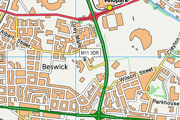 St Brigid's RC Primary School map (M11 3DR) - OS VectorMap District (Ordnance Survey)