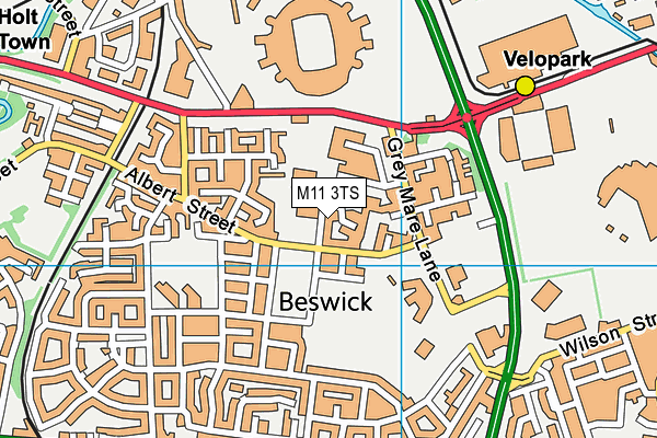 M11 3TS map - OS VectorMap District (Ordnance Survey)