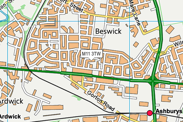 M11 3TW map - OS VectorMap District (Ordnance Survey)