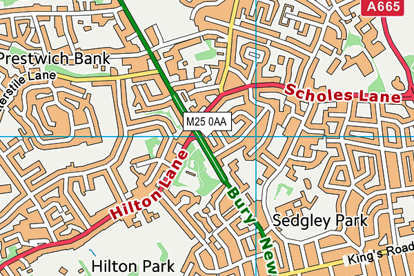 M25 0AA map - OS VectorMap District (Ordnance Survey)