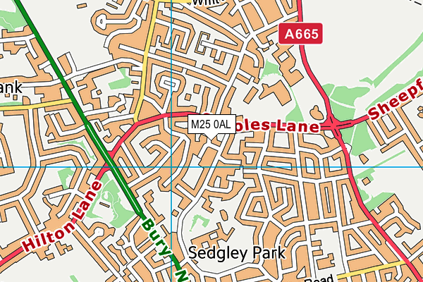 M25 0AL map - OS VectorMap District (Ordnance Survey)