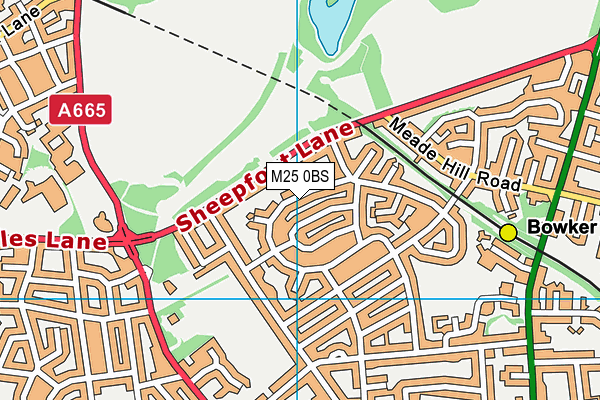 M25 0BS map - OS VectorMap District (Ordnance Survey)