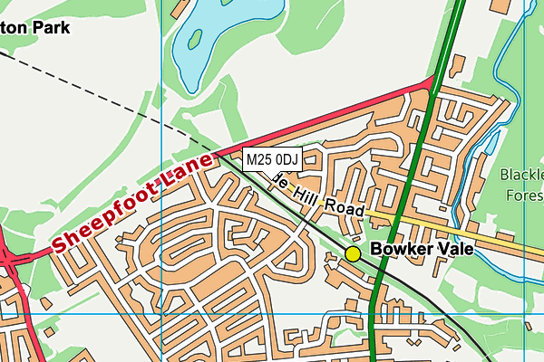 M25 0DJ map - OS VectorMap District (Ordnance Survey)