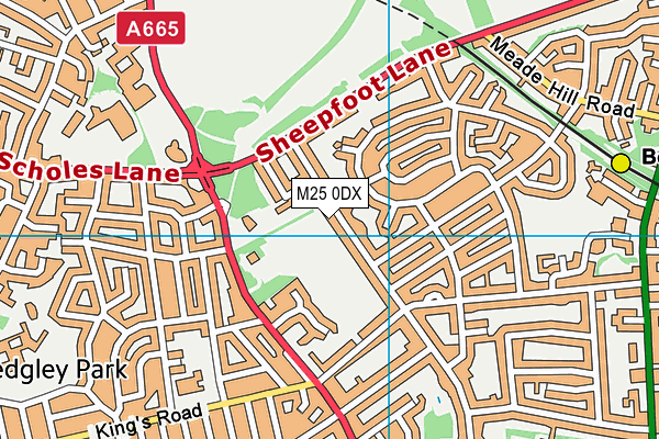 M25 0DX map - OS VectorMap District (Ordnance Survey)