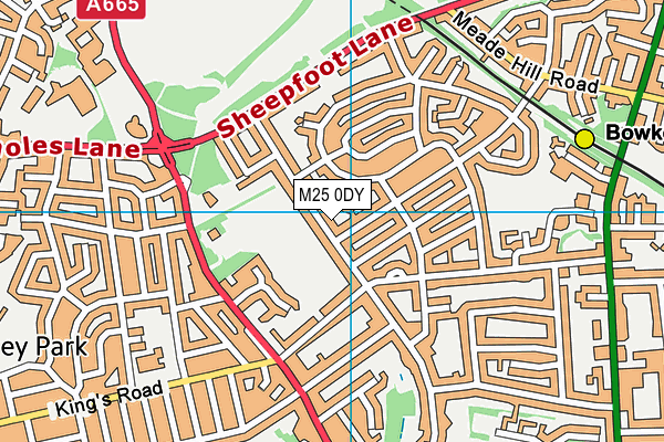 M25 0DY map - OS VectorMap District (Ordnance Survey)