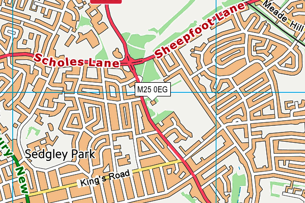 Manchester Maccabi Community And Sports Club map (M25 0EG) - OS VectorMap District (Ordnance Survey)