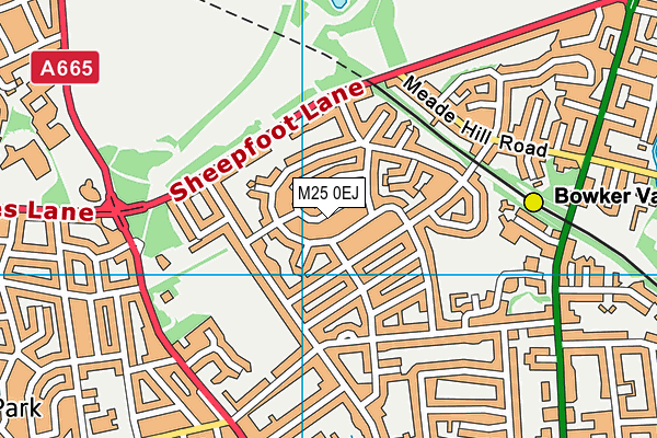 M25 0EJ map - OS VectorMap District (Ordnance Survey)
