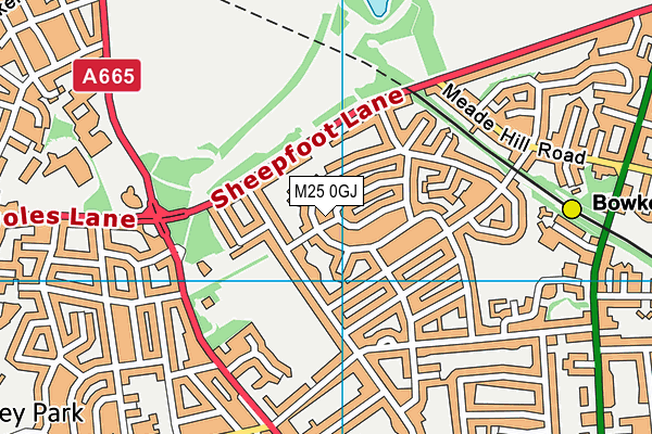M25 0GJ map - OS VectorMap District (Ordnance Survey)