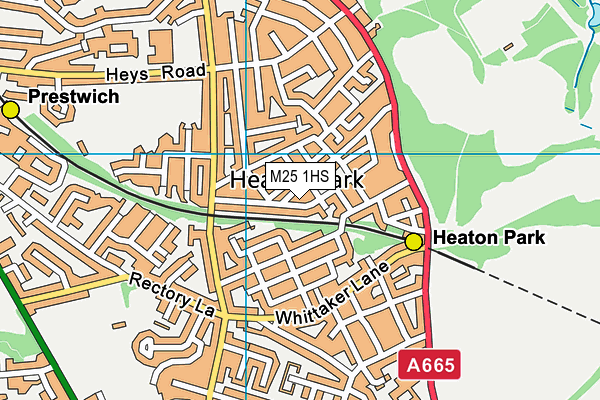 M25 1HS map - OS VectorMap District (Ordnance Survey)