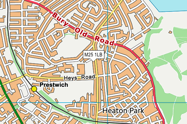 M25 1LB map - OS VectorMap District (Ordnance Survey)