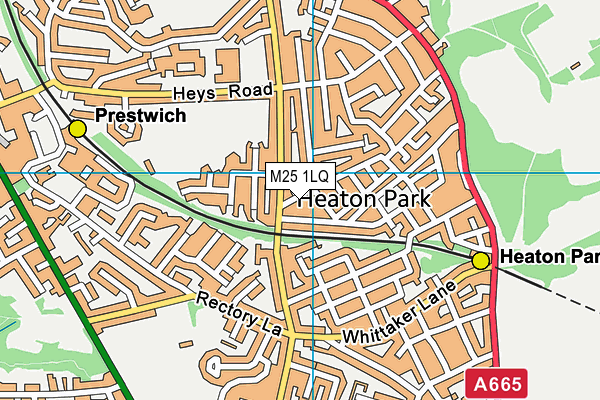 M25 1LQ map - OS VectorMap District (Ordnance Survey)