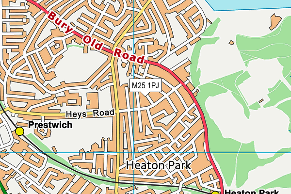 M25 1PJ map - OS VectorMap District (Ordnance Survey)