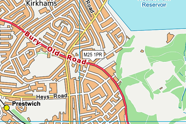 M25 1PR map - OS VectorMap District (Ordnance Survey)