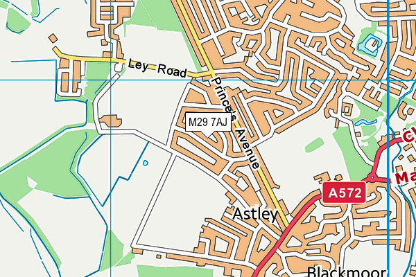 M29 7AJ map - OS VectorMap District (Ordnance Survey)