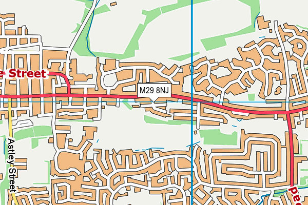 M29 8NJ map - OS VectorMap District (Ordnance Survey)