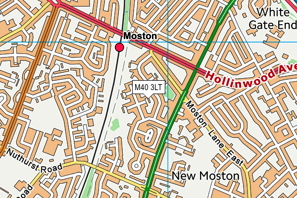 M40 3LT map - OS VectorMap District (Ordnance Survey)