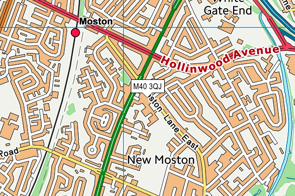 New Moston Primary School map (M40 3QJ) - OS VectorMap District (Ordnance Survey)