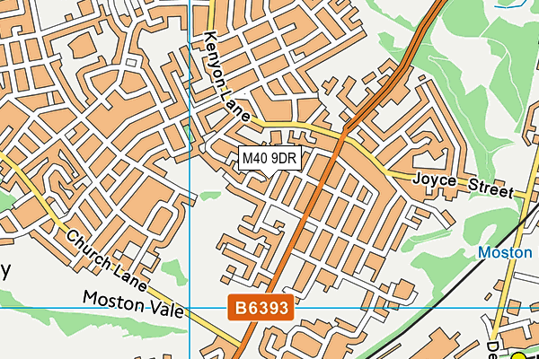 M40 9DR map - OS VectorMap District (Ordnance Survey)