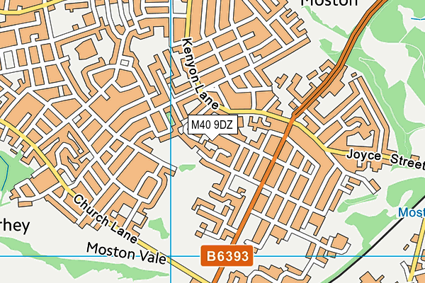 M40 9DZ map - OS VectorMap District (Ordnance Survey)