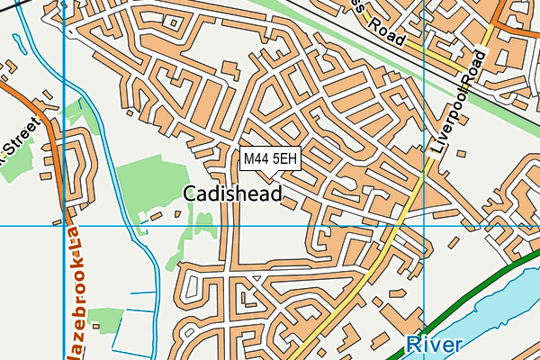 Cadishead Rhinos Arlfc map (M44 5EH) - OS VectorMap District (Ordnance Survey)