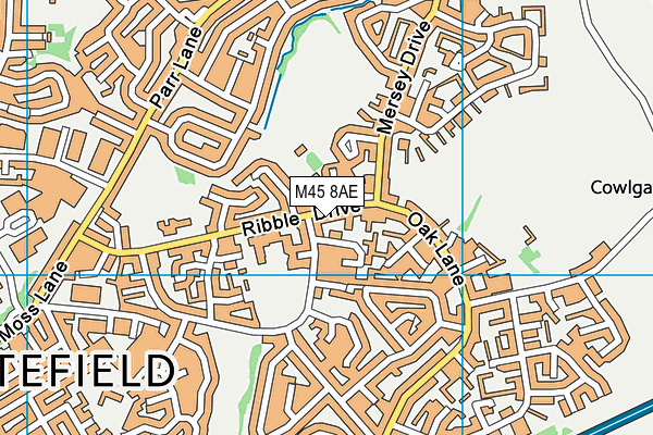 M45 8AE map - OS VectorMap District (Ordnance Survey)