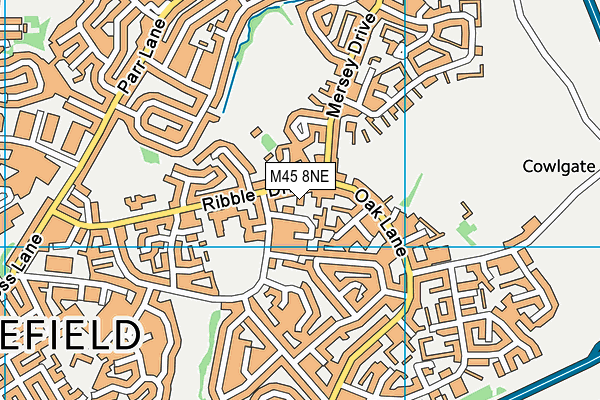 M45 8NE map - OS VectorMap District (Ordnance Survey)