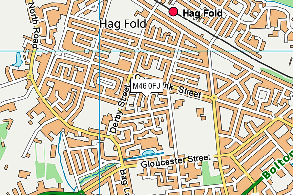 M46 0FJ map - OS VectorMap District (Ordnance Survey)