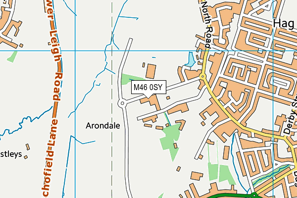 M46 0SY map - OS VectorMap District (Ordnance Survey)